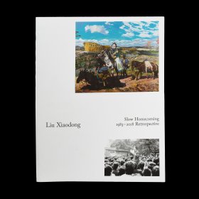 Liu Xiaodong. Langsame Heimkehr