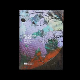 Katharina Grosse – Transparent Eyeballs