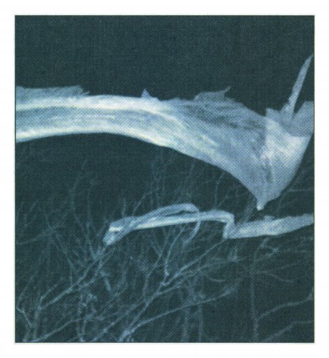 Peter Piller
from: “Ungeklärte Fälle”, 2006 
Archive Peter Piller
Courtesy Capitain Petzel, Berlin
archival pigment print, framed
© VG Bild-Kunst, Bonn 2022