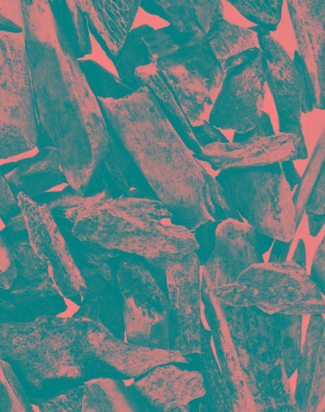 Peter Piller, without title, 2017
Courtesy Capitain Petzel, Berlin
© VG Bild-Kunst, Bonn 2023