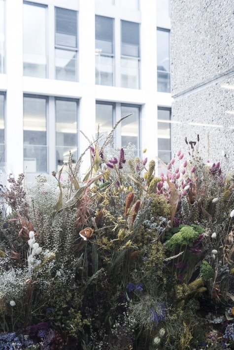 Anna Möller
Ohne Titel, 2016
Trockenblumen
Courtesy der Künstler