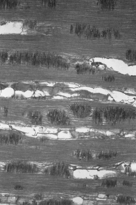 Peter Piller
Without title, 2018
Courtesy Capitain Petzel, Berlin
© VG Bild-Kunst, Bonn 2022