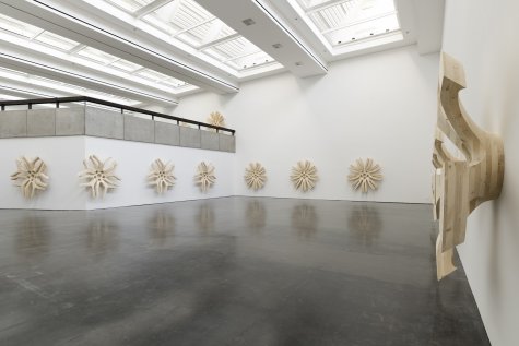 Yngve Holen Rose Paintings