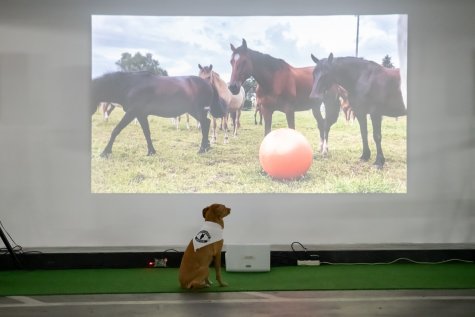 MUR BRUT 23
Yaël Kempf
Play It For What
Foto: Katja Illner