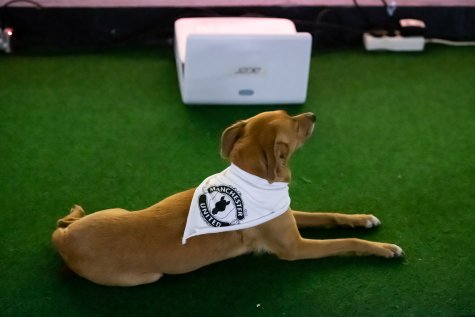 MUR BRUT 23
Yaël Kempf
Play It For What
Foto: Katja Illner