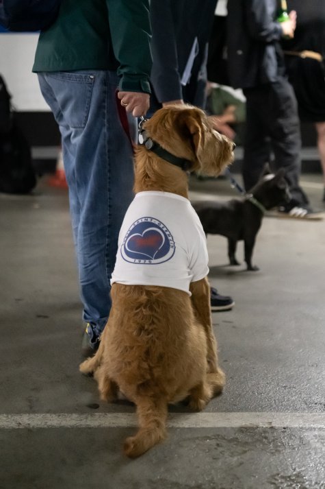 MUR BRUT 23
Yaël Kempf
Play It For What
Foto: Katja Illner