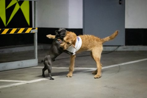 MUR BRUT 23
Yaël Kempf
Play It For What
Foto: Katja Illner