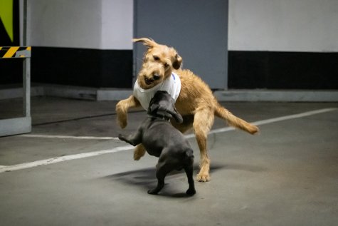 MUR BRUT 23
Yaël Kempf
Play It For What
Foto: Katja Illner