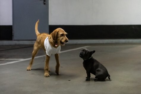 MUR BRUT 23
Yaël Kempf
Play It For What
Foto: Katja Illner