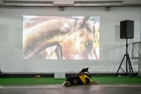 MUR BRUT 23
Yaël Kempf
Play It For What
Foto: Katja Illner