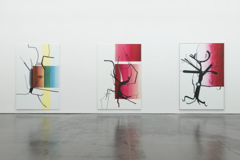 Albert Oehlen
Kunsthalle Düsseldorf, 2019
© VG Bild-Kunst, Bonn 2019
Photo: Katja Illner