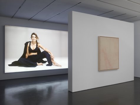 Installationsansicht Simon Fujiwara. Figures in a Landscape, Kunsthalle Düsseldorf 2016/17