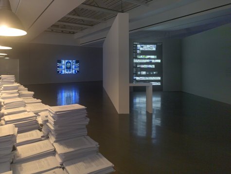 Installation view Smart New World, Kunsthalle Düsseldorf, 2014
Photo: © Achim Kukulies