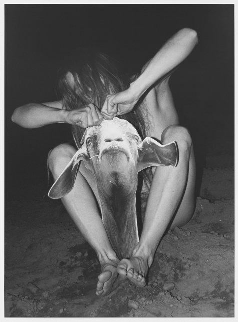 Carina Brandes
Ohne Titel, 2017
S/w-Fotografie auf Barytpapier
95,5 × 69,9 cm
Courtesy BQ, Berlin