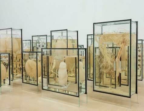 Carmen Schaich,
Wite Wonder (Harvest), 2018
Foto: Markus Luigs