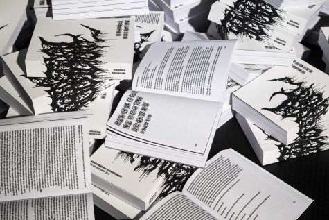 Vibrational Semantics

Vibrational Semantics konzentriert sich auf den kreativen Einsatz von Stimme und Sprache in der zeitgenössischen Kunstpraxis. Die Publikationen erforschen die Fähigkeit der Stimme, nahtlos zwischen Bedeutungsträger und Klangkörper, zwischen Sprachlaut und Geräusch zu wechseln, und untersuchen das Verhältnis von Sprache zu Sinn und Bedeutung. Foto: Thor Brødreskift