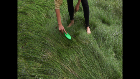 Eine Person mit hochgekrempeltem Ärmel und schwarzer Hose steht barfuß im hohen, dichten Gras und kämmt mit einer grünen Bürste vorsichtig die Halme. Die andere Hand hält eine kleine Strähne Gras.