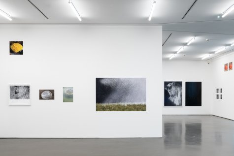 Installation view
Peter Piller. there are a cpuple of things that bother me, Kunsthalle Düsseldorf, 2023
Photo: Katja Illner
© VG Bild-Kunst, Bonn 2023