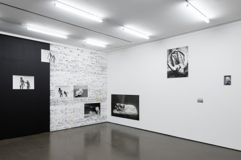 Carina Brandes
„Es liebt Dich und Deine Körperlichkeit ein Verwirrter“, Kunsthalle Düsseldorf, 2022
Foto: Katja Illner