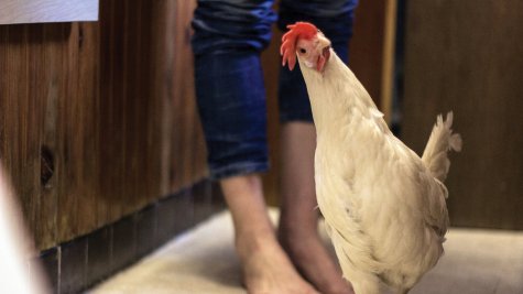 Kristina Buch, One of the things that baffles me about you is that you remain unmurdered., HD-Film, Farbe 24’40’’, Großformat Süddeutsche Zeitung (zensiert und unzensiert), E-Mails, 2012-2016, Foto: Johannes Buch