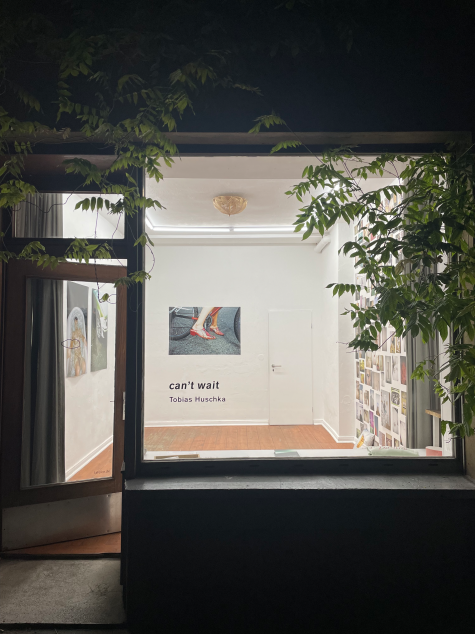 La Felce
La Felce zeigt neben den kuratierten Ausstellungen ausgewählte Buchpräsentationen. Auch hier steht das Medium der Ausstellung im Fokus: Wie werden Buchinhalte “an der Wand” präsentiert? Wie wird die Atmosphäre aus einem Künstler*innenbuch in den Raum transportiert? Foto: © La Felce