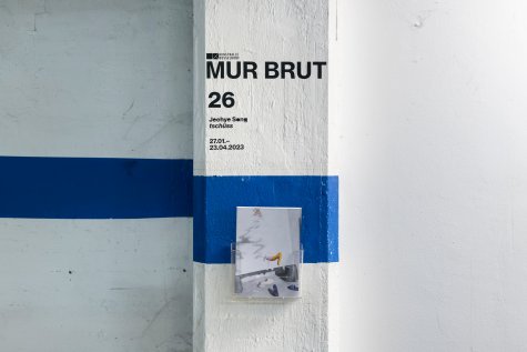 Installation view of MUR BRUT 26