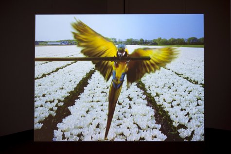 Marijke van Warmerdam
Rrrolle – blue, 2011
35-mm-Loop, digitalised, colour, 0’53”
ca. 300 × 400 cm
Van Abbemuseum, Eindhoven; Stedelijk Museum Amsterdam; MHKA, Antwerpen