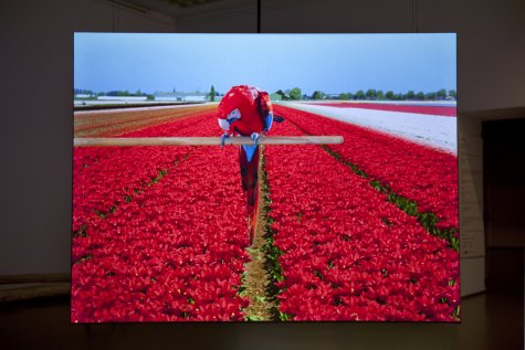 Marijke van Warmerdam
Rrrolle – red, 2011
35-mm-Loop, digitalised, colour, 0’32”
ca. 300 × 400 cm
Van Abbemuseum, Eindhoven; Stedelijk Museum Amsterdam; MHKA, Antwerpen