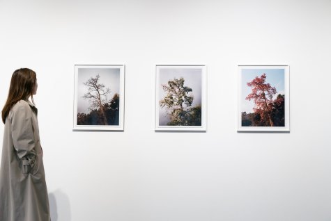 Installation View
ONLY LOVERS LEFT. Margarete Jakschik and Friedrich Kunath. Kunsthalle Düsseldorf 2024.
Photo: Thomas Köster / KunstArztPraxis