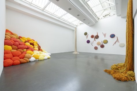 Installation View
SHEILA HICKS, Kunsthalle Düsseldorf 2024
© VG Bild-Kunst, Bonn 2024
Photo: Katja Illner