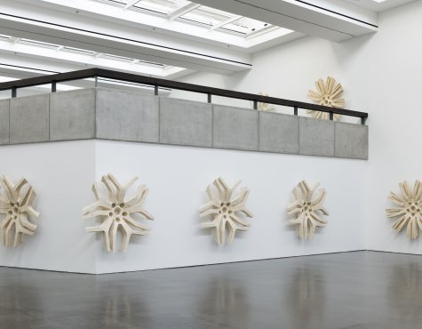 Yngve Holen Rose Paintings